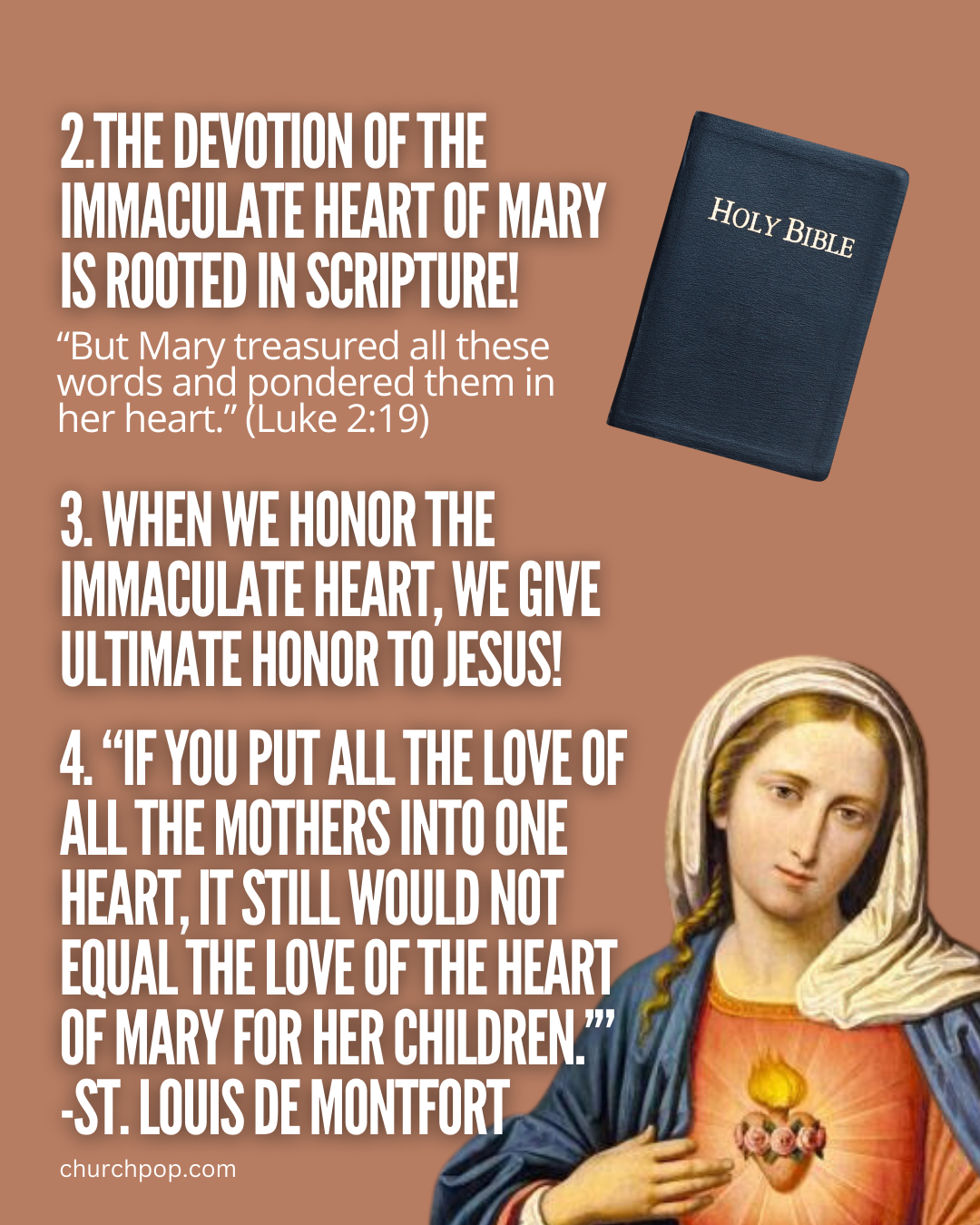 What is the immaculate heart of mary catholic?