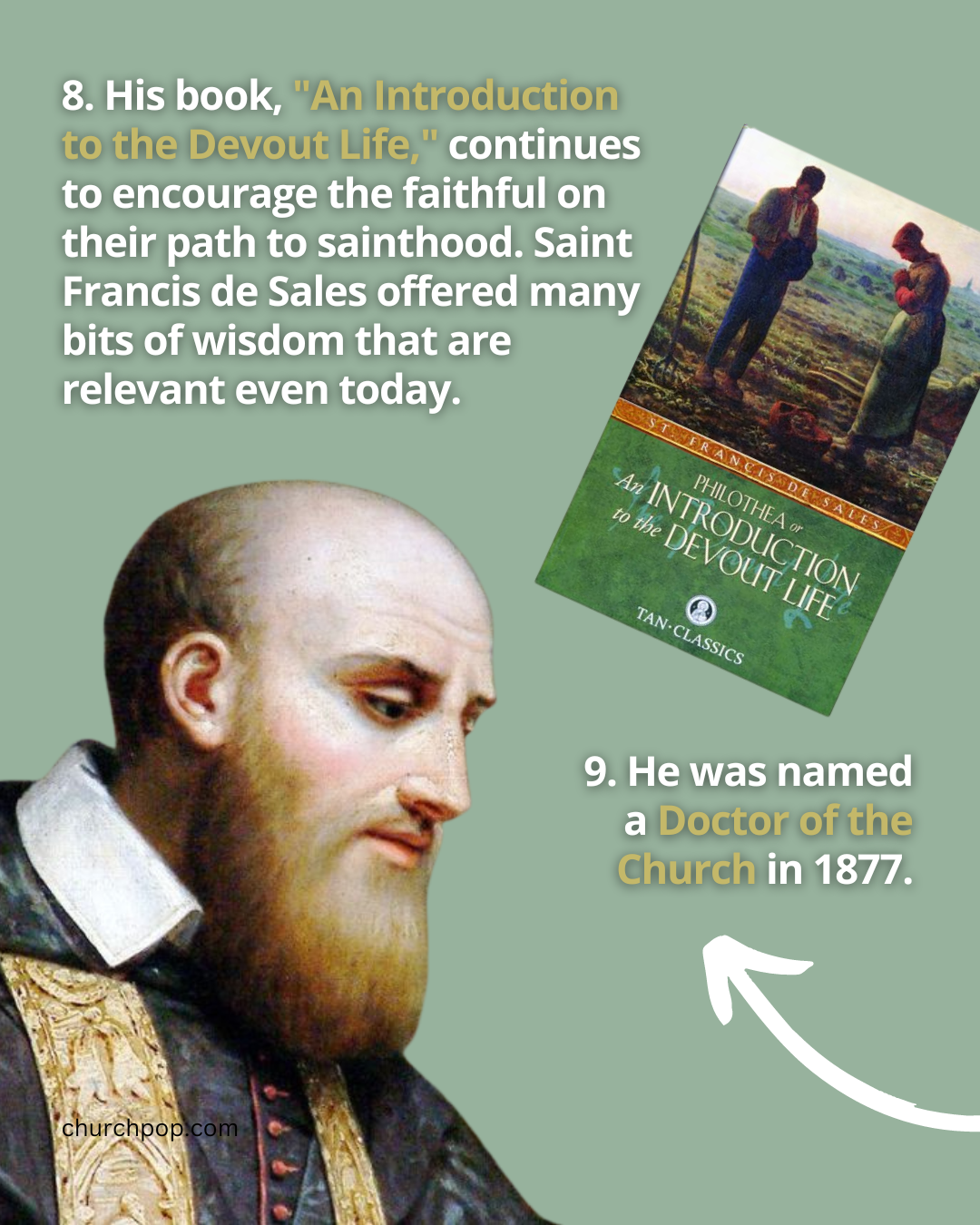 francis de sales introduction to the devout life, francis de sales introduction to the devout life, doctor of the church