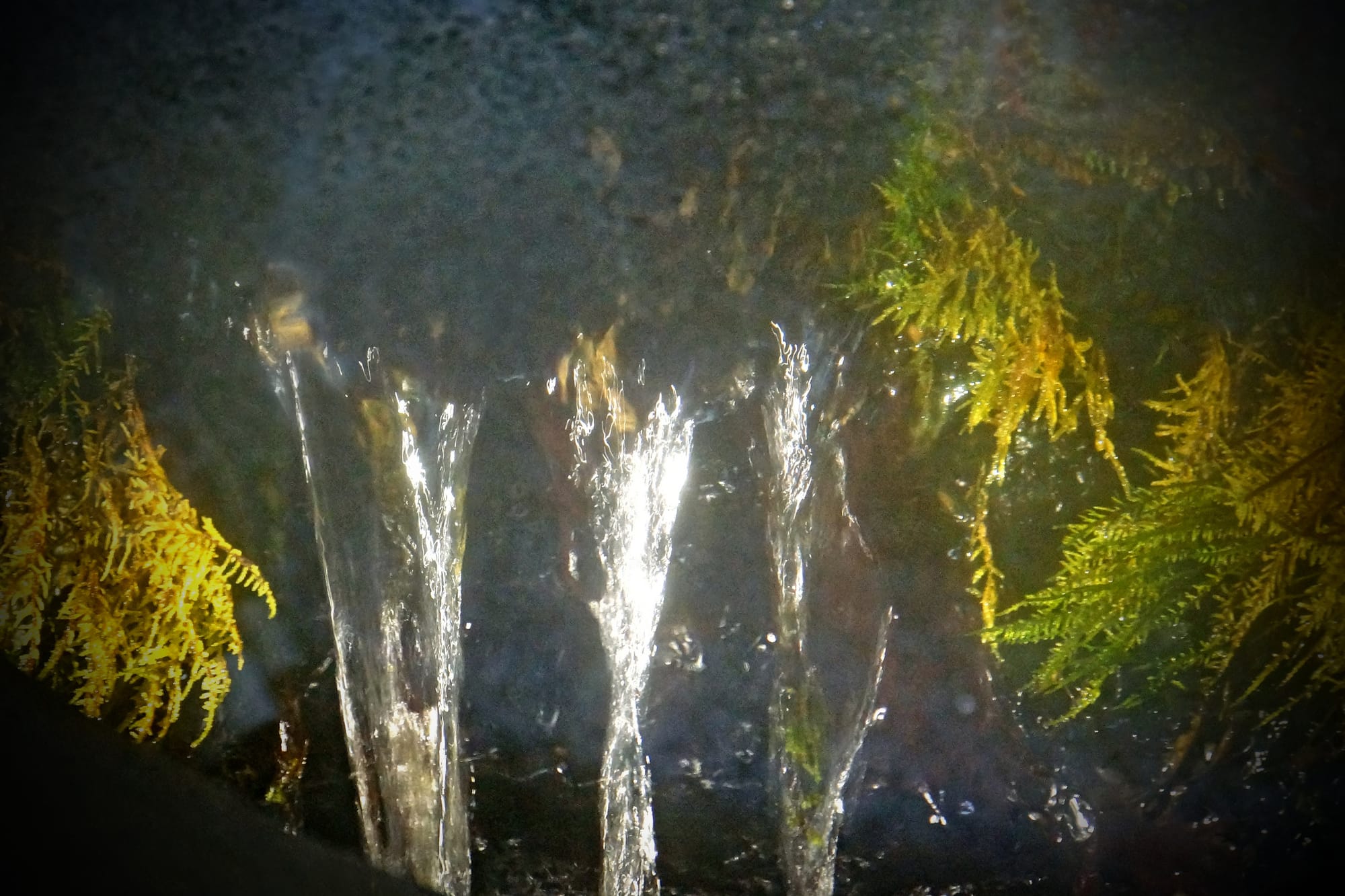  lourdes our lady, lourdes europe, lourdes in france, saint bernadette of lourdes, lourdes grotto, lourdes water