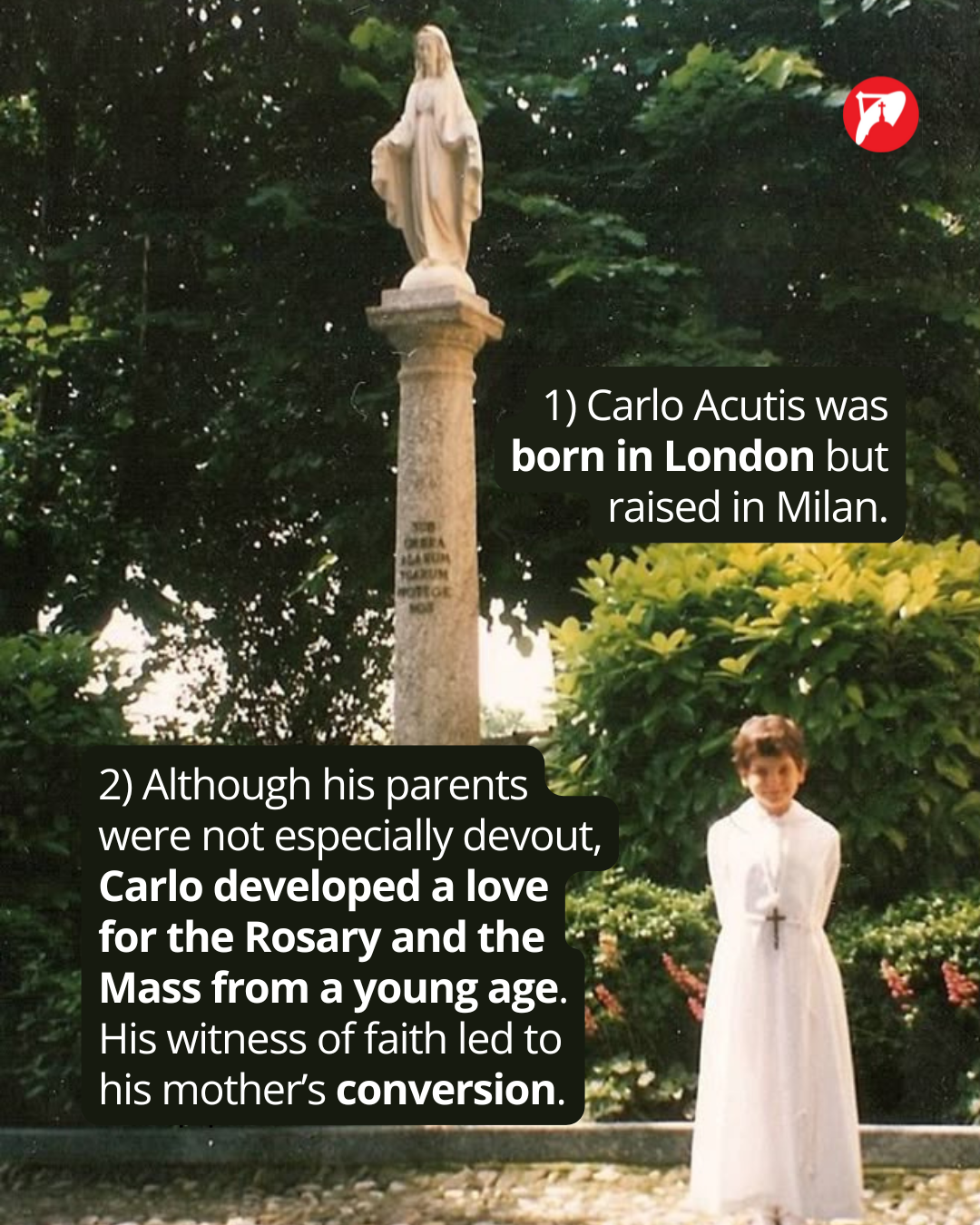 why is carlo acutis a saint