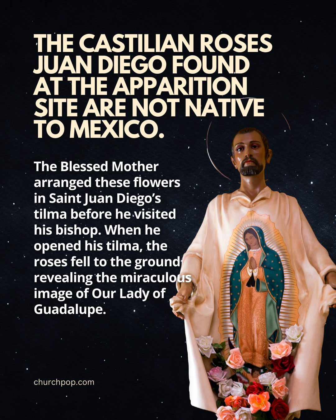 our lady of guadalupe with roses