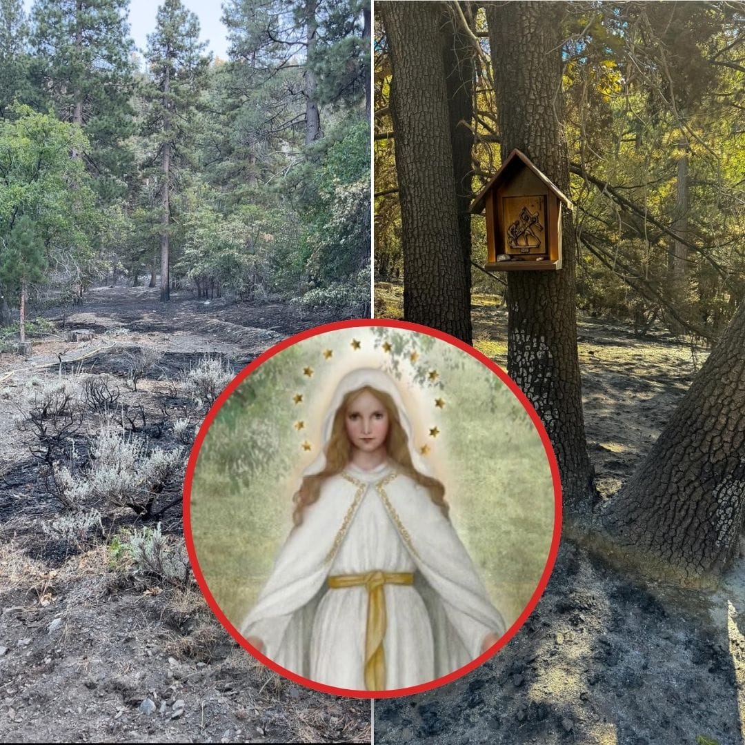 ‘It Just Stopped’: Catholic Camp Credits Our Lady of Champion for Protection From Wildfire in California