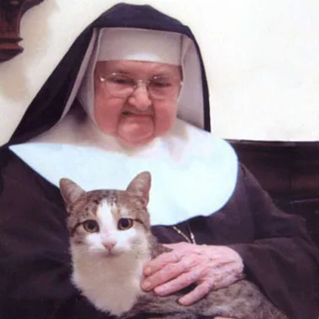 Mother Angelica’s Cat Missed Her Deeply After She Died — The Funeral Story That Will Melt Your Heart
