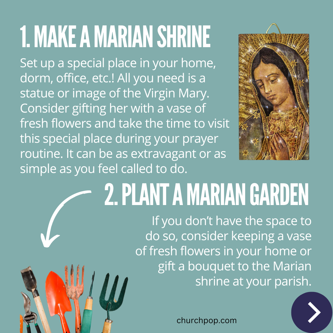 7 Simple Ways to Honor Mother Mary During the Month of May