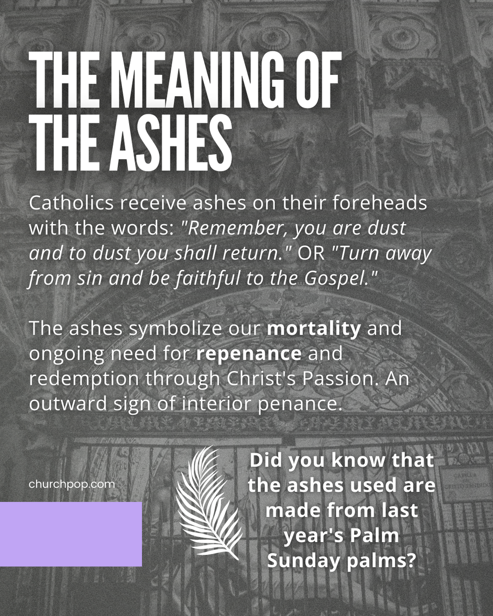 Ashes Explained Facts About Ash Wednesday Every Catholic Should Know