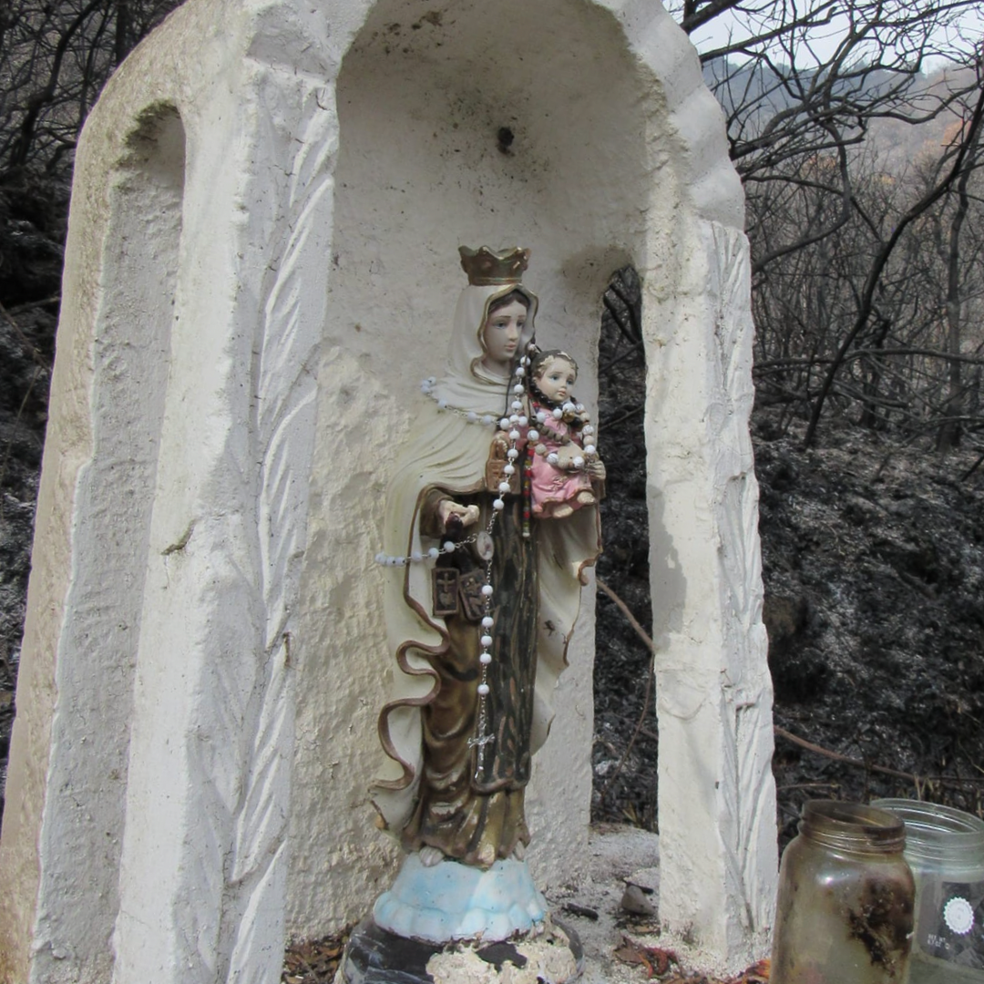 Statue of Our Lady of Mount Carmel Remains Untouched After Devastating Forest Fire in Colombia