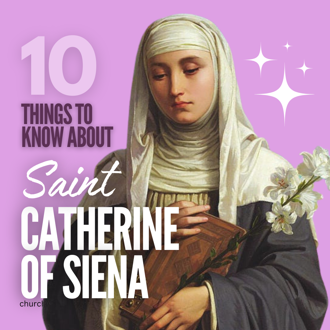 saints catholic, saints in the catholic church, saints of the catholic church, saints catholic, saints definition