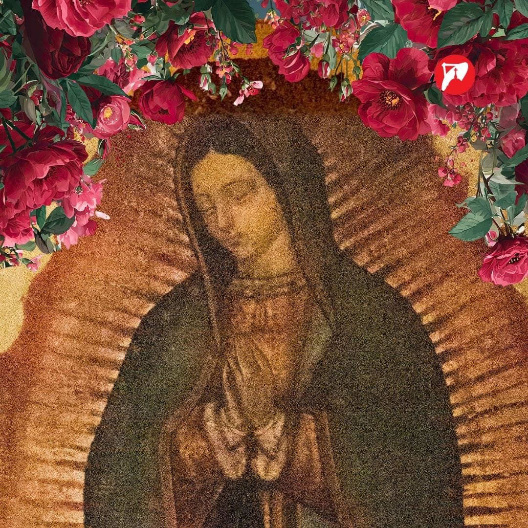 our lady of guadalupe with roses