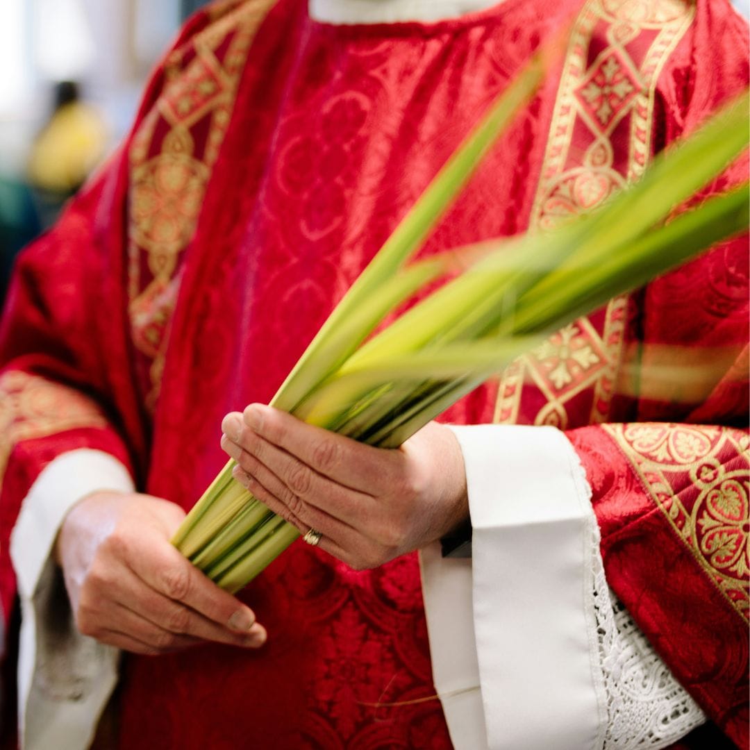 what to do with palm sunday palms