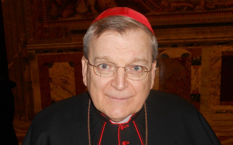 What Cardinal Burke Really Said About Men and the "Feminization" of the Church