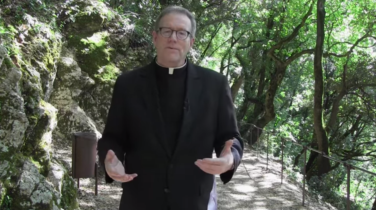 "A Cosmic Framework": Fr. Barron on the Main Point of "Laudato Si"