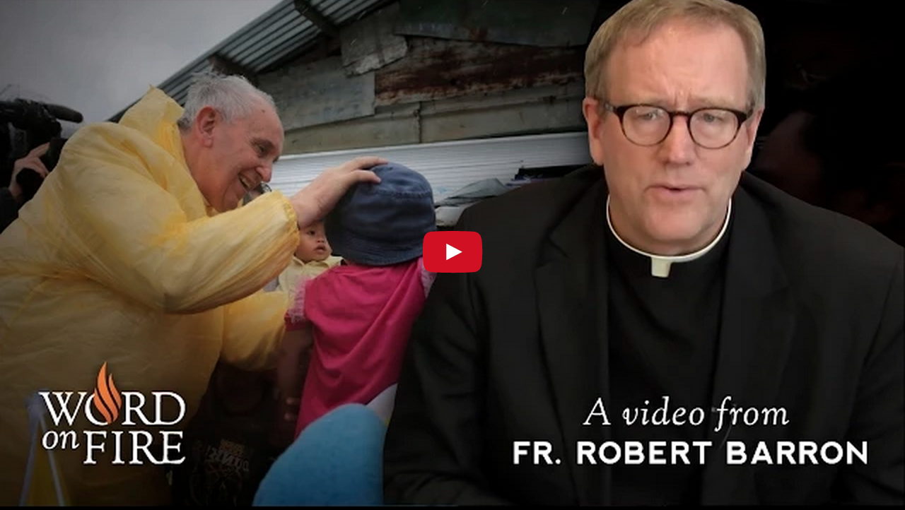What Is Pope Francis Really Saying About Capitalism? Fr. Barron Weighs In