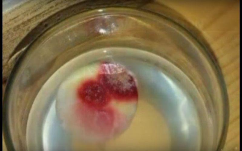 This Eucharistic Host in Utah Might Be Miraculously Bleeding