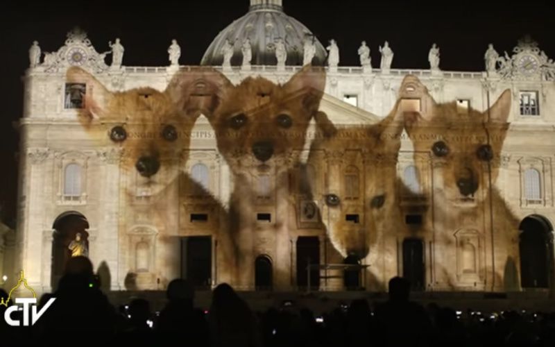 What Did You Think of the Vatican's Climate Change Light Show? Take Our Poll!