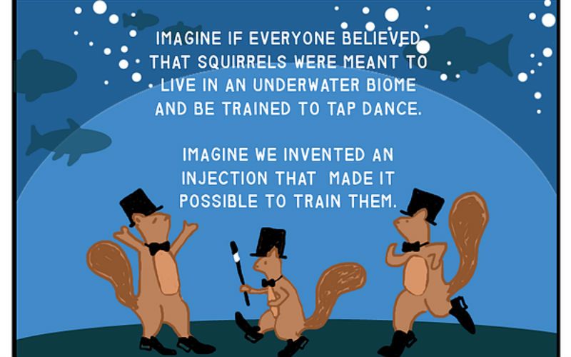 The Abortion-Contraception Connection - Explained with Tap Dancing Squirrels!