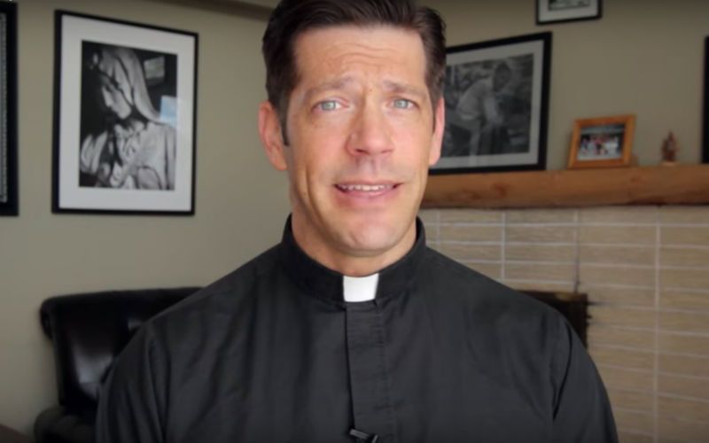 Do Pets Go to Heaven When They Die? Fr. Mike Schmitz Answers