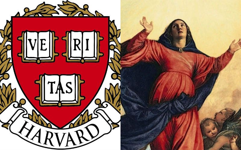Harvard Prof Indicates Mystical Encounter with Mary Led to His Conversion