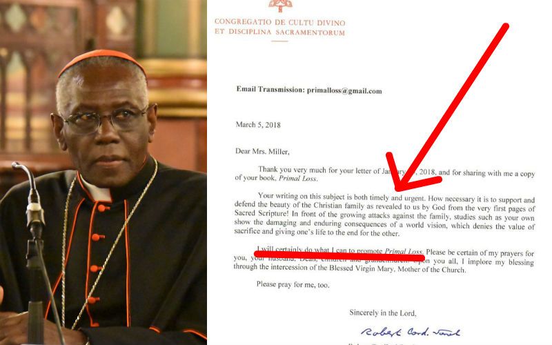 In Surprise Move, Cardinal Sarah Endorses Self-Published Book on Harms of Divorce to Children