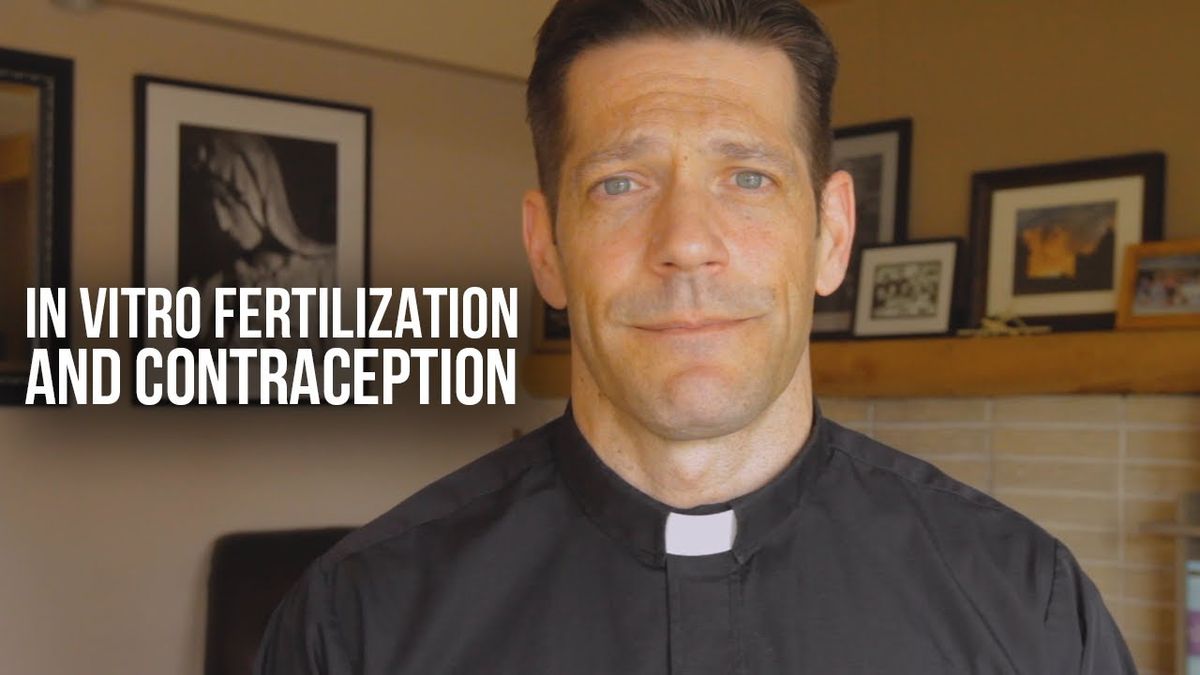 What's Wrong With In Vitro Fertilization & Contraception? Fr. Mike Schmitz Explains Church Teaching