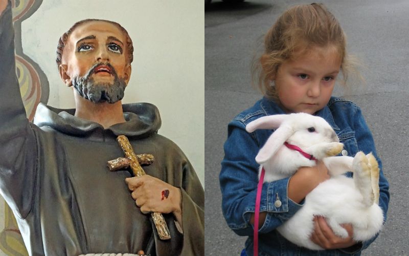 Why This Priest Will NOT Bless Pets for the Feast of St. Francis - His Challenging Reason