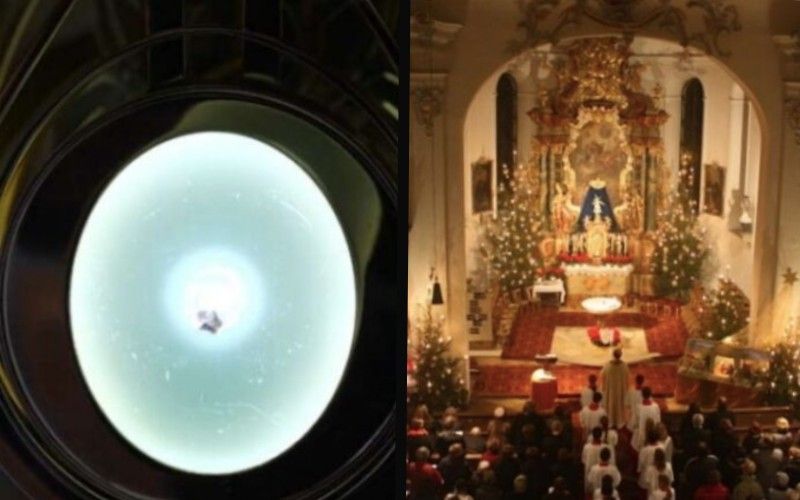 The Incredible Christmas Eucharistic Miracle of 2013: "Cardiac Muscle...Typical of an Agony"