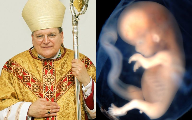 "Serious Scandal": Catholic Pro-Abortion Politicians Automatically Excommunicated, Cardinal Burke Explains