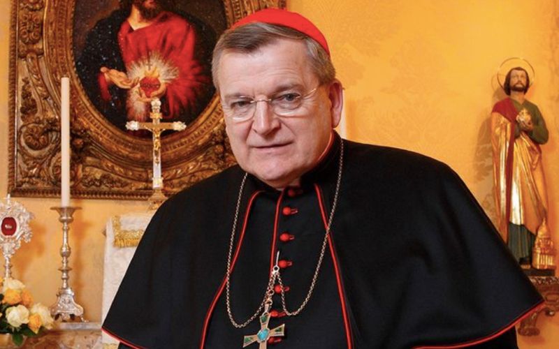 Cardinal Burke on a Ventilator After Covid-19 Diagnosis: "Let us Now Pray the Rosary"