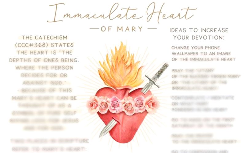 August is the Month of the Immaculate Heart of Mary - Here's 7 Ways to Grow in this Devotion