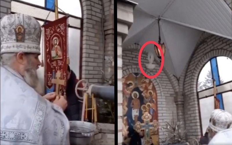 Sign of Peace for Ukraine? Dove Lands on Holy Trinity Image During Liturgy in Ukraine in Viral Video