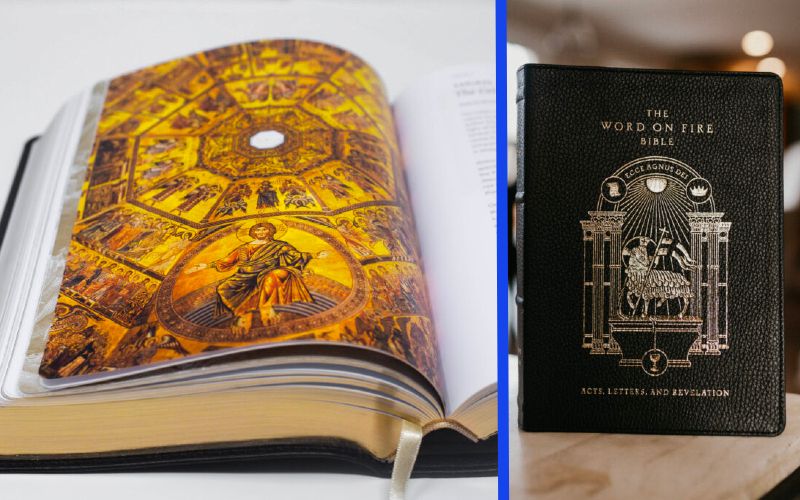 A Look Inside Bp. Barron's Latest Word on Fire Bible - A Beautiful "Cathedral in Print"