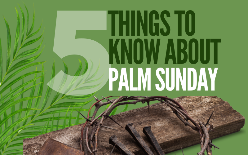 5 Facts About Palm Sunday Every Catholic Should Know