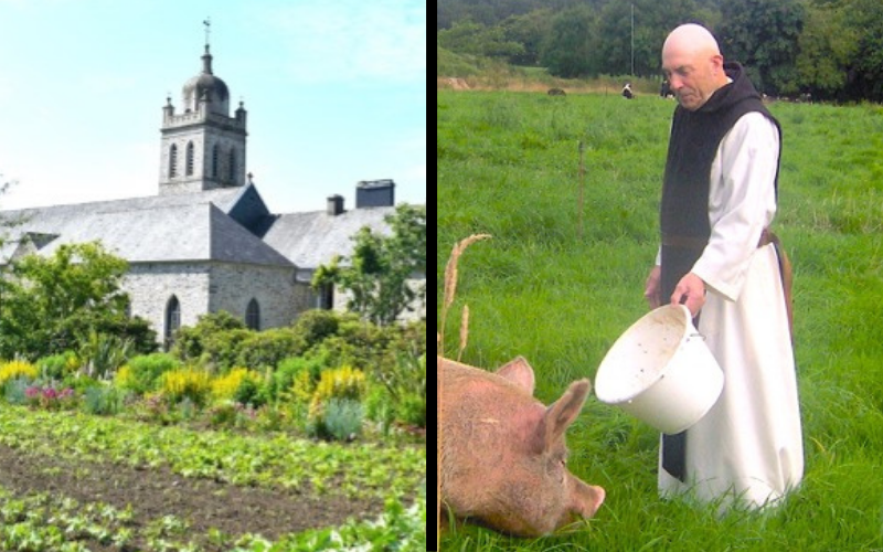 The Heroic History of a Trappist Abbey With a Farm Operated by an 86-Year-Old Monk