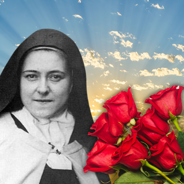 5 THINGS YOU SHOULD KNOW ABOUT MOTHER TERESA visual data 2